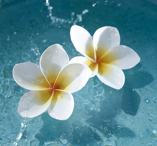 nyári szépítő újdonságok nyitókép 201308  Hawaiian_Flower_&_Oil_Ingredient_Visual - Frizura & SzépségFrizura & Szépség